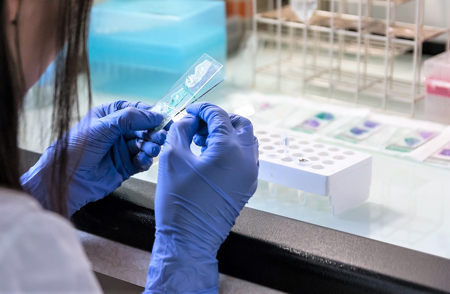 Laboratoire d'analyses de biologie médicale à NeufBrisach près de Biesheim